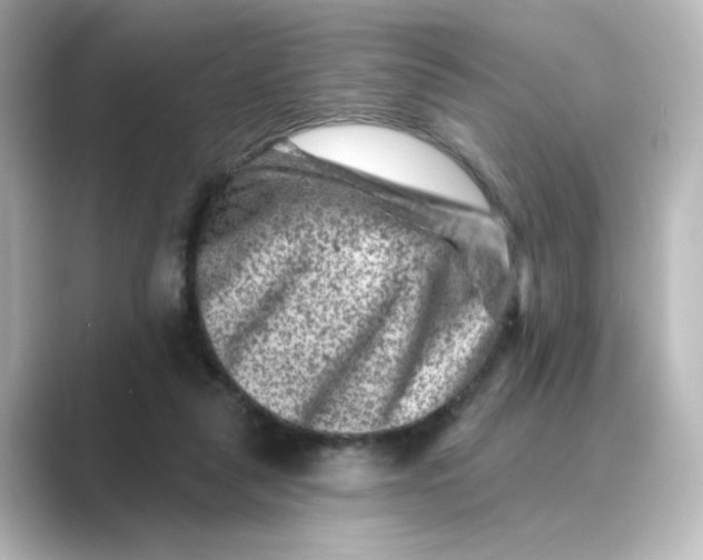 X0000088730259200706212044