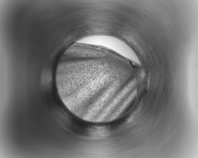 X0000088730260200706212044