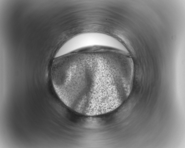 X0000088730261200706212044