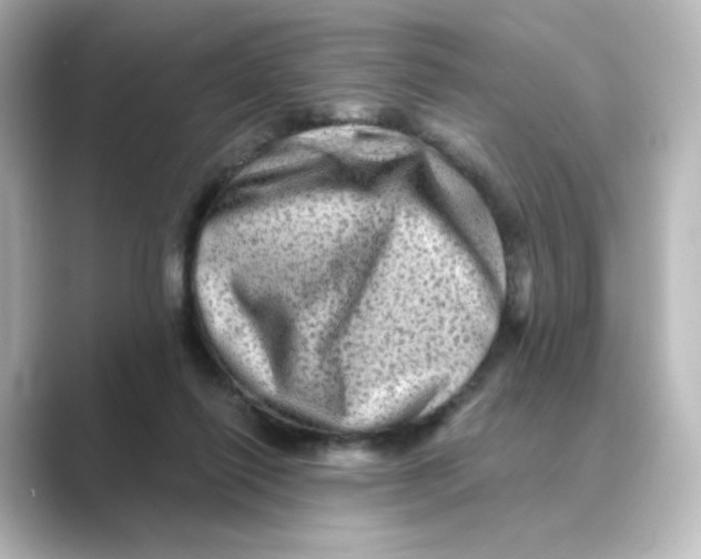 X0000088730262200706212044