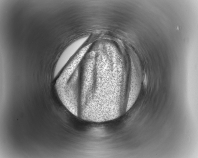 X0000088730263200706212044