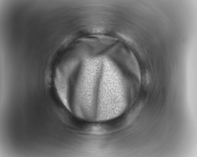 X0000088730264200706212044