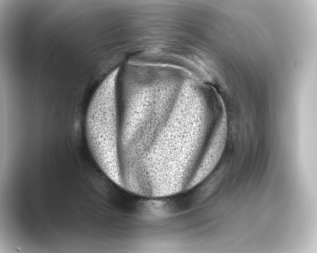 X0000088730265200706212044