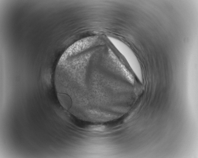 X0000088730266200706212044