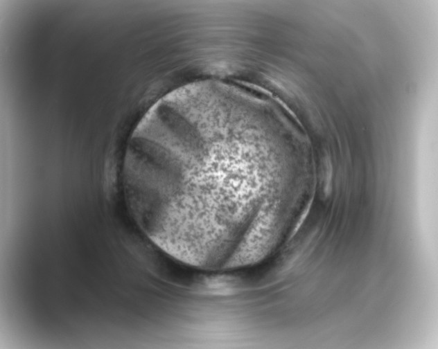 X0000088730268200706212044