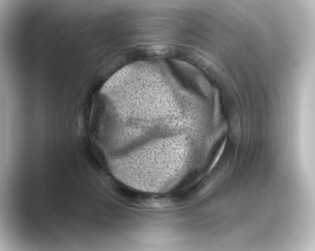 X0000088730270200706212044