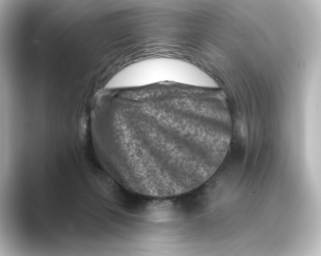 X0000088730271200706212044