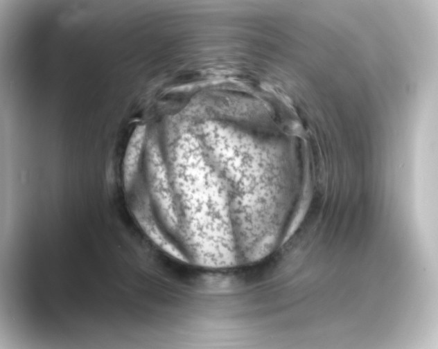 X0000088730272200706212044