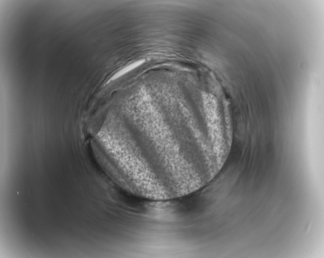 X0000088730273200706212044