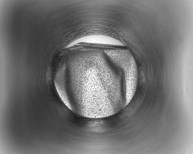 X0000088730274200706212044