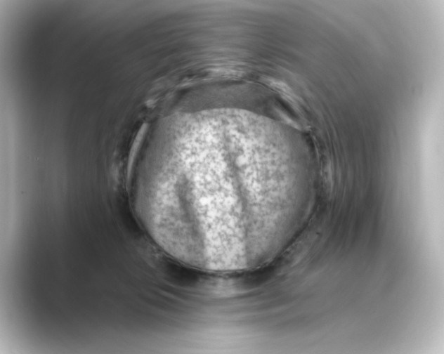 X0000088730276200706212044