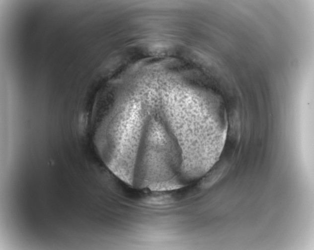 X0000088730278200706212044