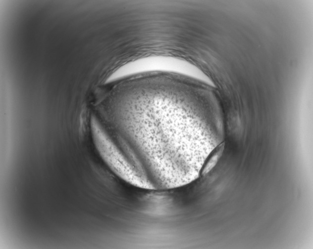 X0000088730280200706212044