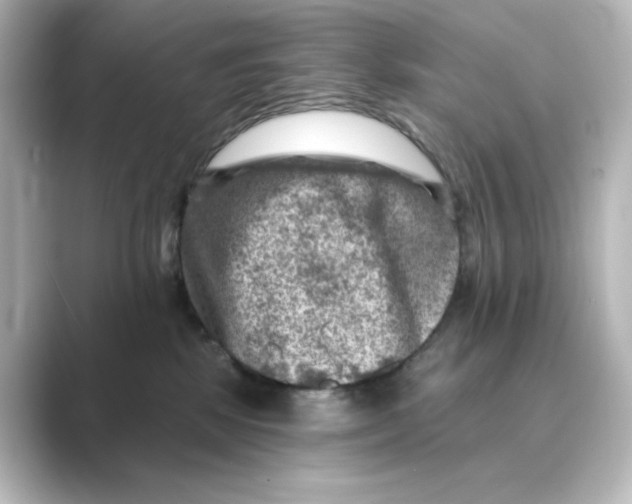 X0000088730281200706212044