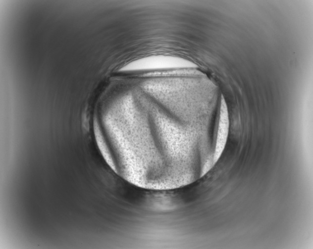 X0000088730282200706212044