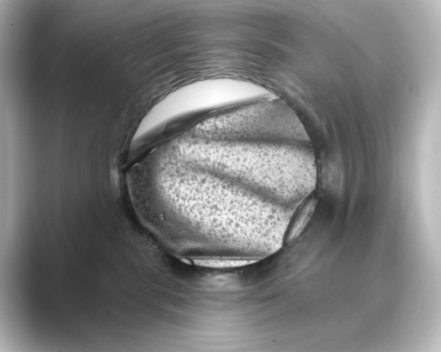 X0000088730283200706212044