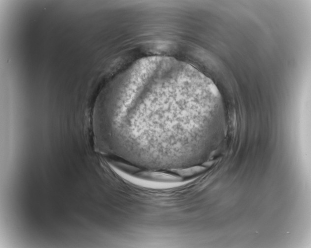 X0000088730284200706212044