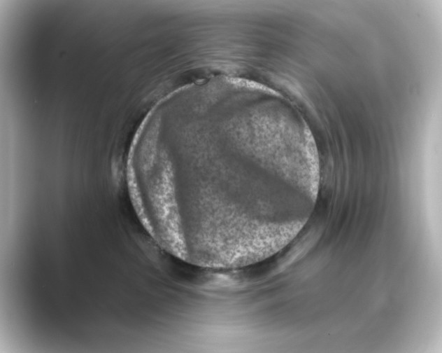 X0000088730285200706212044