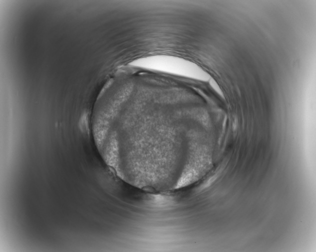 X0000088730286200706212044