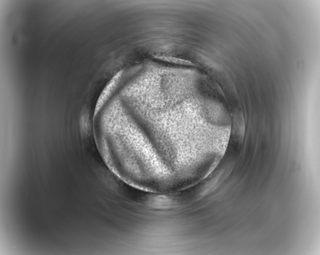 X0000088730287200706212044