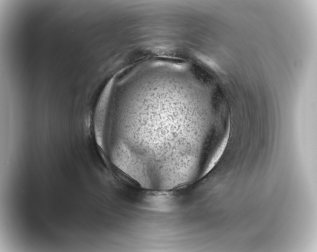 X0000088730288200706212044