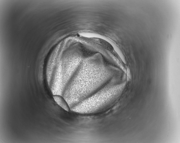 X0000088730291200706212044