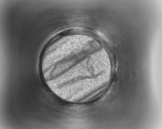 X0000088730292200706212044