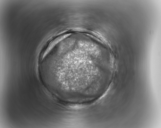 X0000088730293200706212044