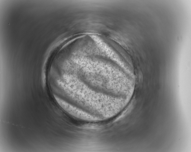 X0000088730294200706212044