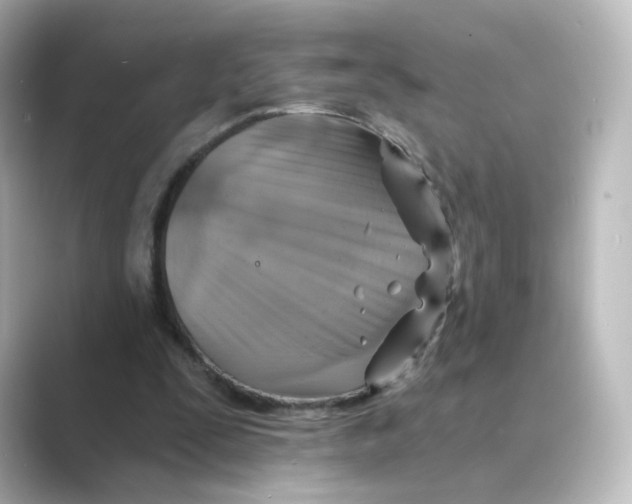 X0000088730295200706212044