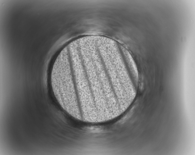 X0000088730296200706212044