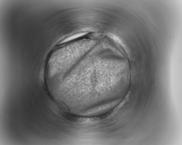 X0000088730297200706212044