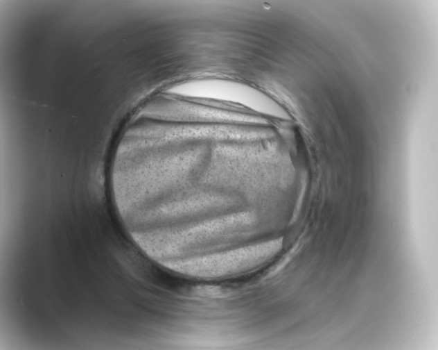 X0000088730298200706212044