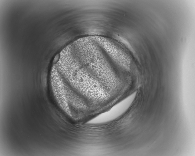 X0000088730299200706212044