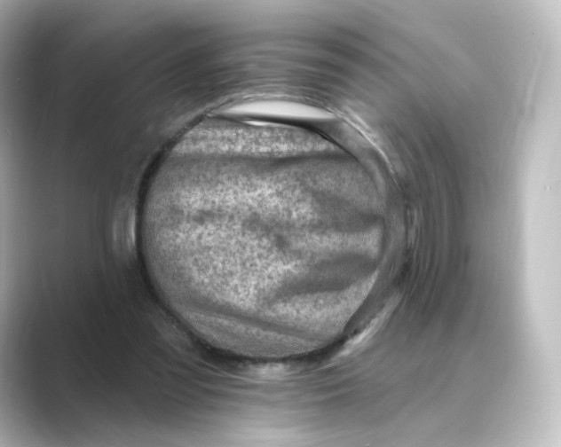 X0000088730301200706212044