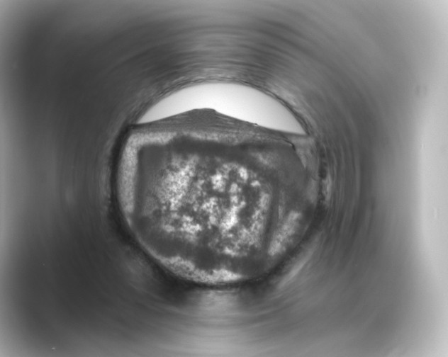 X0000088730303200706212044