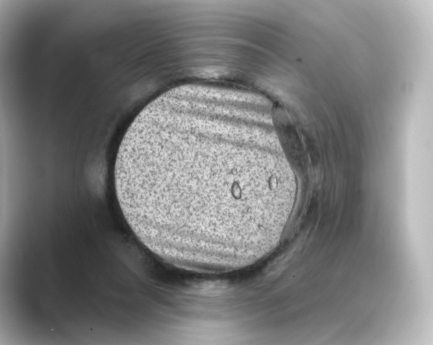 X0000088730304200706212044