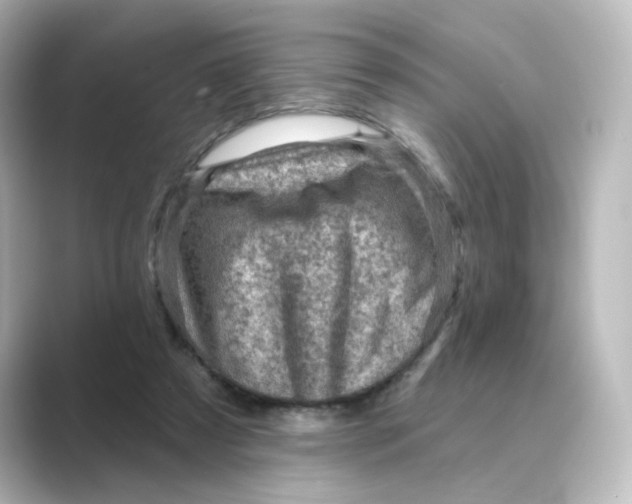 X0000088730305200706212044