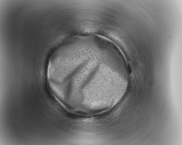 X0000088730306200706212044