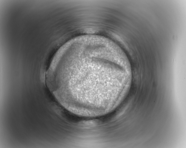 X0000088730307200706212044