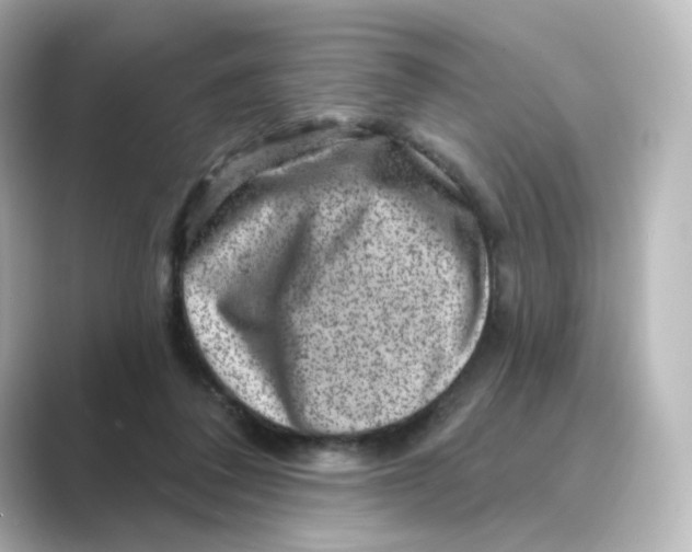 X0000088730308200706212044