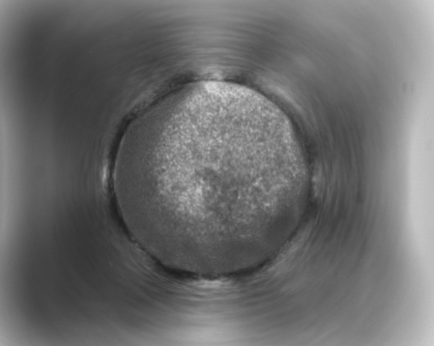 X0000088730314200706212043