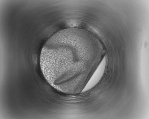 X0000088730315200706212043