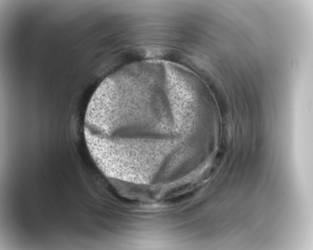 X0000088730316200706212043