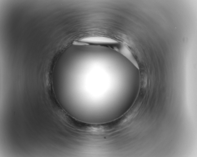 X0000088730317200706212043