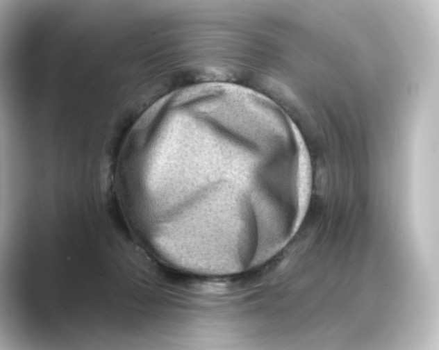 X0000088730318200706212043