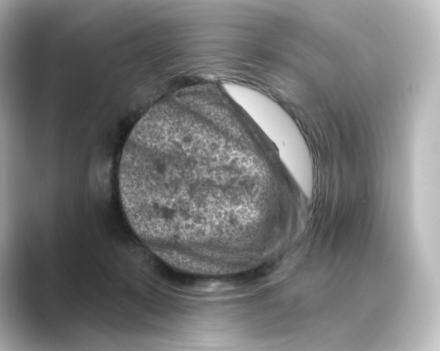 X0000088730319200706212043