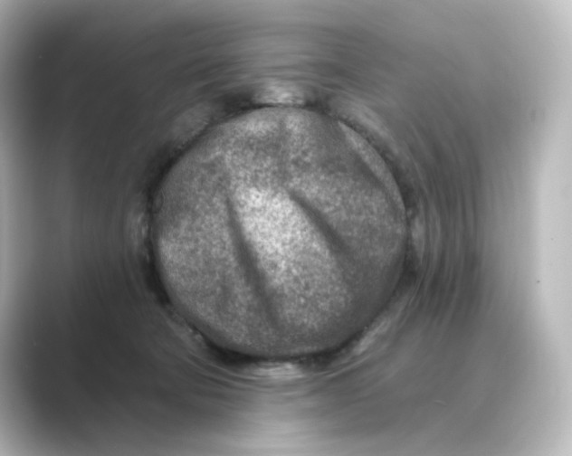 X0000088730322200706212043