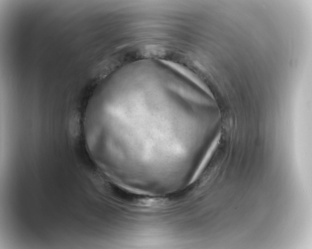 X0000088730323200706212043