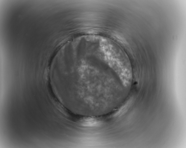 X0000088730325200706212043